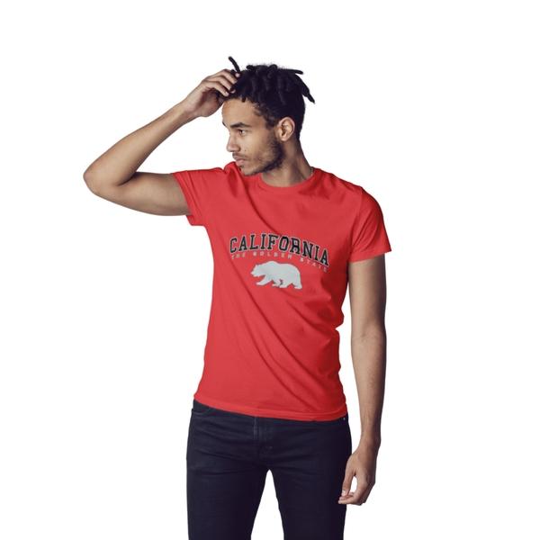 California Golden State Heat Transfer (100 pack)