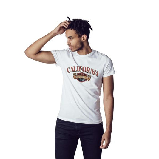 California Republic 1850 Heat Transfer (100 pack)