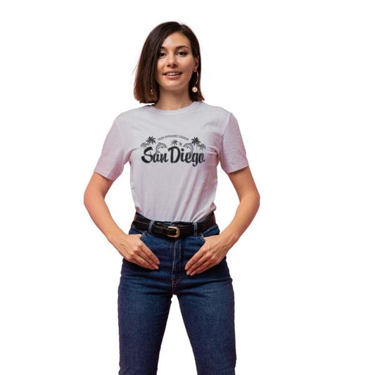 San Diego Dolphins Heat Transfer (100 pack)