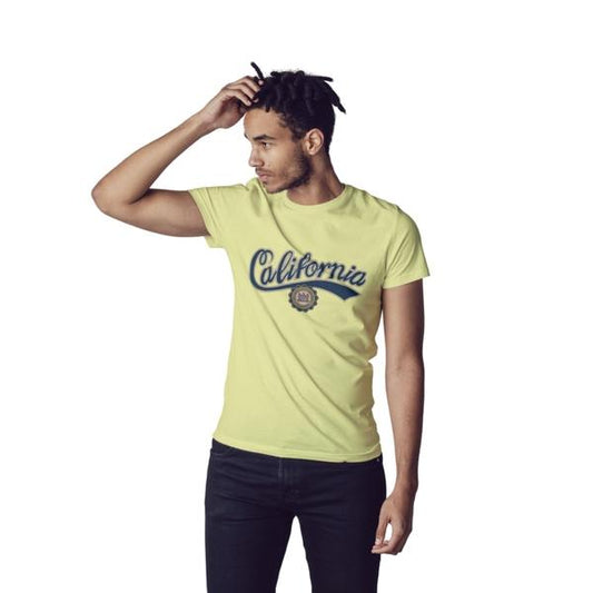 California San Diego Seal Heat Transfer (100 pack)