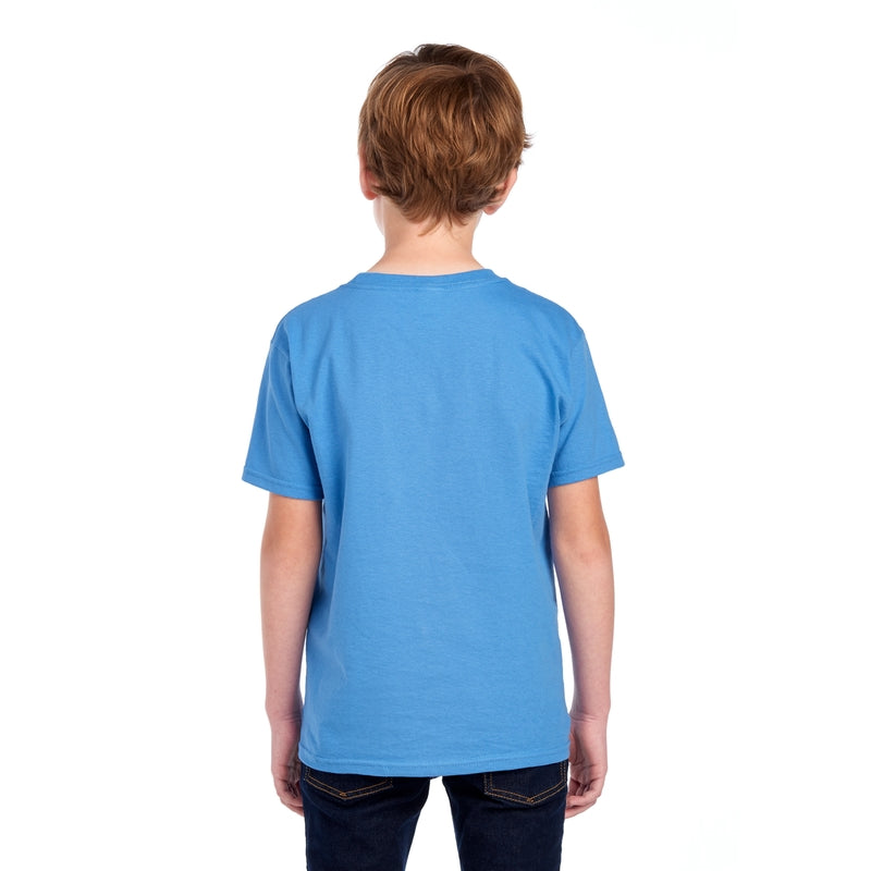 3930BR HD Cotton™ Youth T-Shirt (Medium Colors)