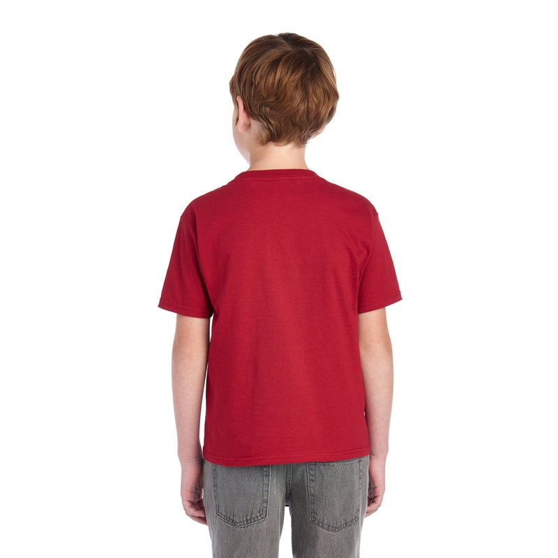 3930BR HD Cotton™ Youth T-Shirt (Medium Colors)