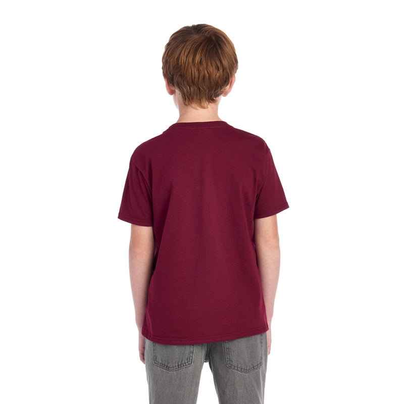 3930BR HD Cotton™ Youth T-Shirt (Medium Colors)