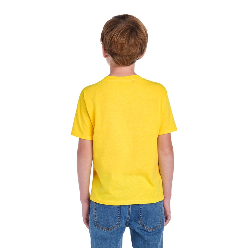 3930BR HD Cotton™ Youth T-Shirt (Bright Colors)