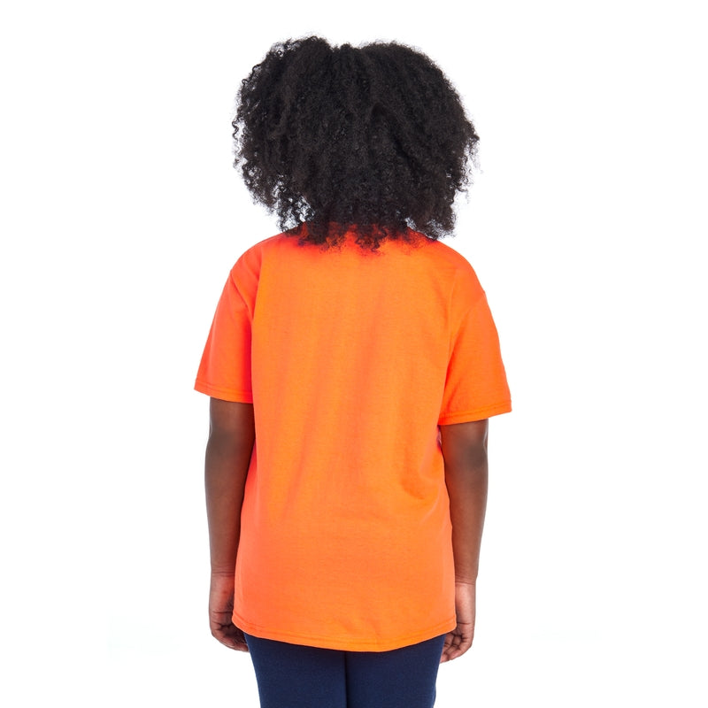 3930BR HD Cotton™ Youth T-Shirt (Safety Colors)