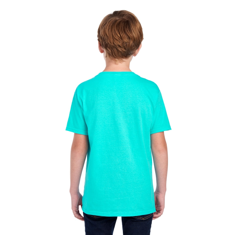 3930BR HD Cotton™ Youth T-Shirt (Medium Colors)