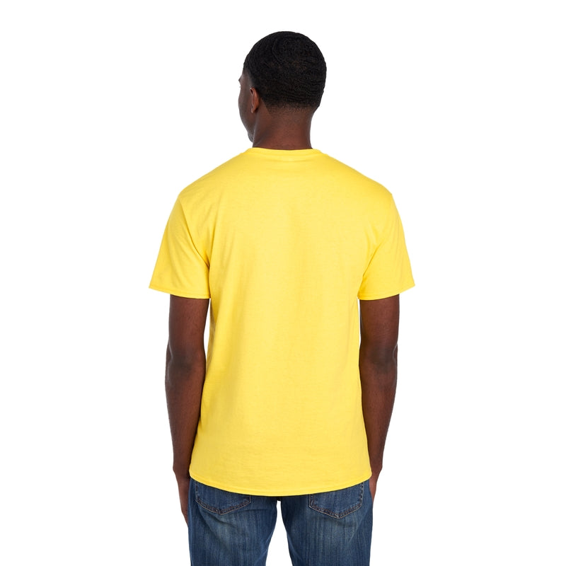 3930R HD Cotton™ T-Shirt (Light Colors)
